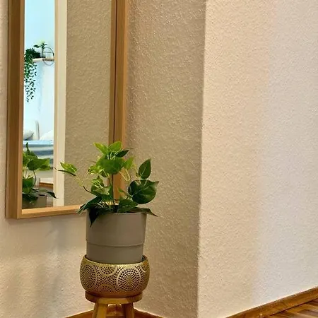 Complete Apartment+netflix *