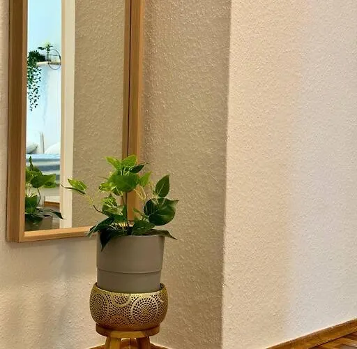 Complete Apartment+netflix *